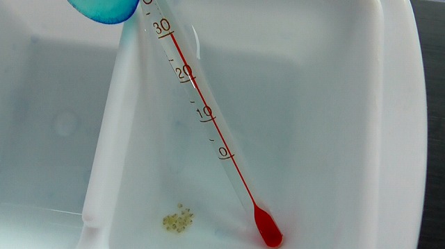 水温30℃を表示した水温計のイメージ2