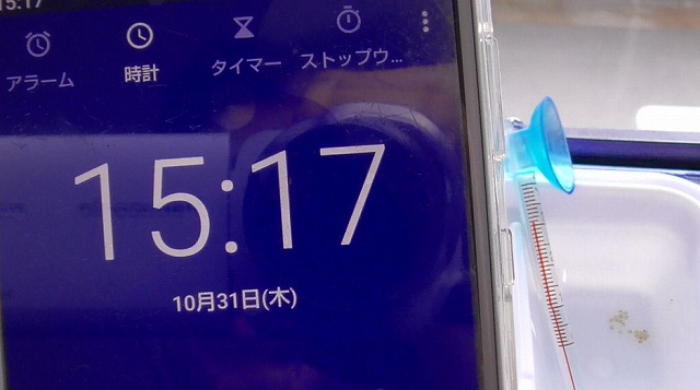 10月31日の15時17分を表示したスマホ