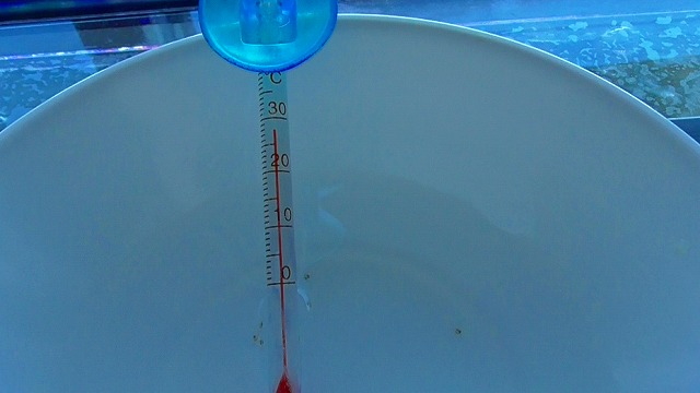 水温計が27℃を表示