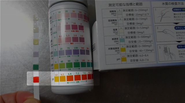 ph8.4を示した水質テス6in1の試験紙