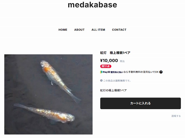 medakabaseの販売ページ