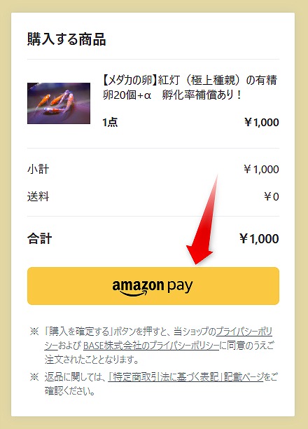 amazon payボタン