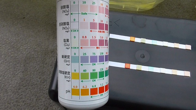水質チェック後の水質テスト6in1のテスト紙