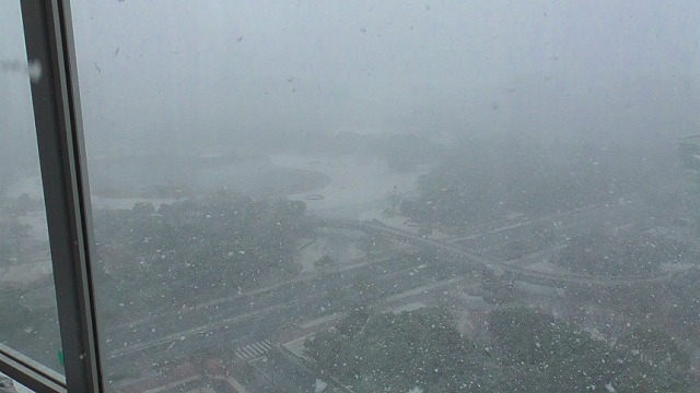 雪が降っている景色