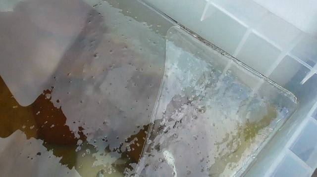 柿の葉を入れたNV BOXの水が凍結