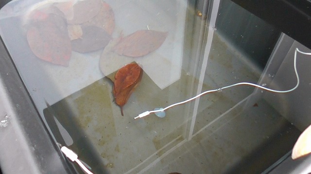 激しい雪が降っているときの60Lタライの様子
