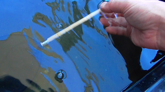 メダカをすくう手が水に浸るイメージ