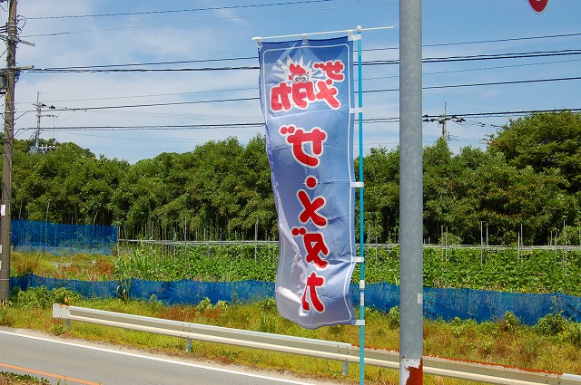 ザ・メダカ2号店ののぼり旗