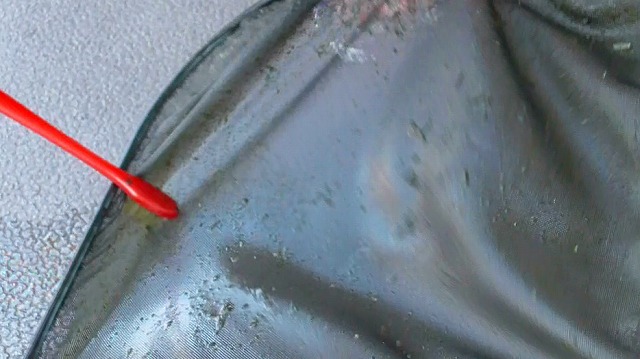 タモ網のコケを歯ブラシで落とす様子