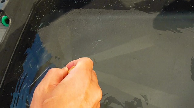 タモ網でメダカを追っかけ回す様子