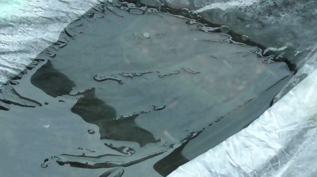 80Lタライにさらに雨水が溜まった様子