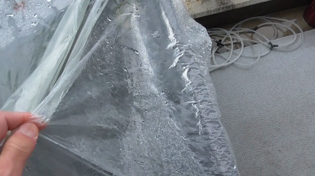 ポリ袋を持ち上げて雨水を払う様子