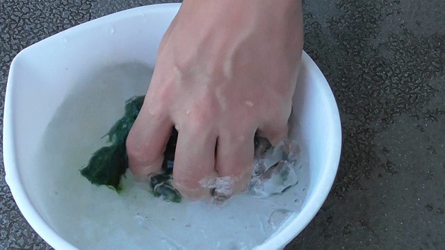 卵を採取した後の産卵床をもみ洗いする様子