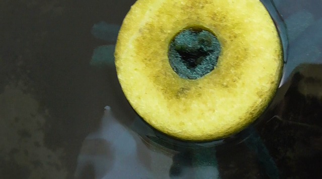 採取を終えた産卵床をメダカ容器に浮かべる様子