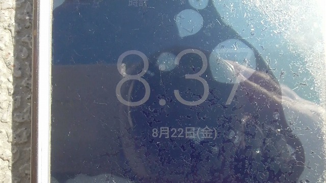 スマホが8月22日を表示