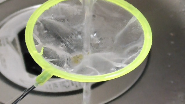 網の上の卵を水道水で洗い流すイメージ