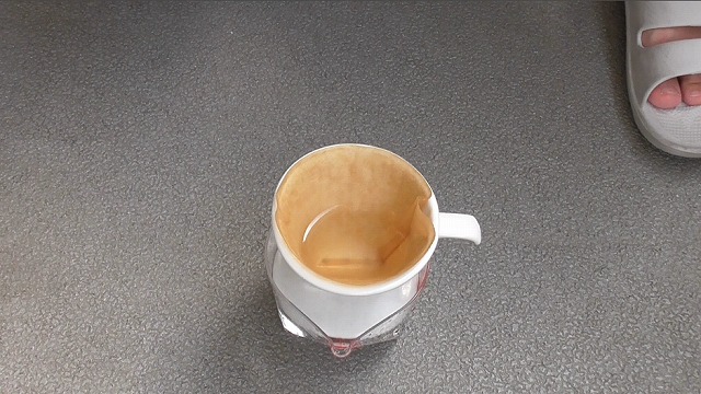 コーヒーペーパーにゾウリムシ培養液を注いだ後の様子2