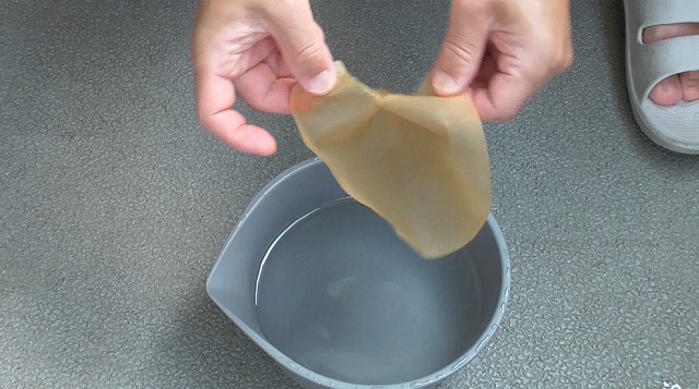 ゾウリムシ培養液が滴った後のコーヒーペーパーを破る様子