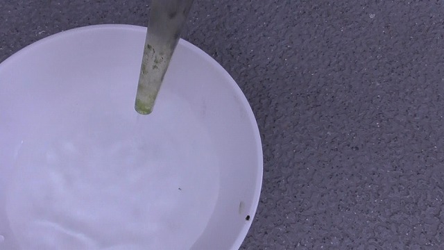 スポイトで吸い取った水を小皿に排出する様子2