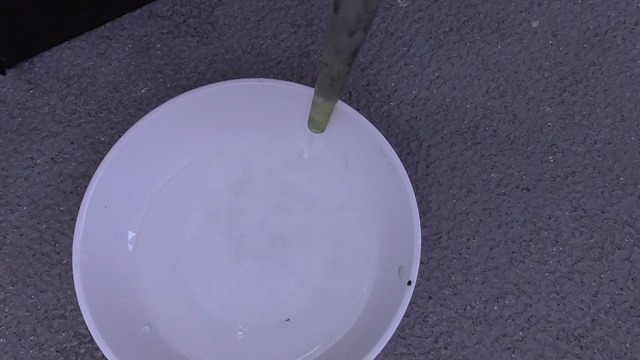 スポイトで吸い取った水を小皿に排出する様子3