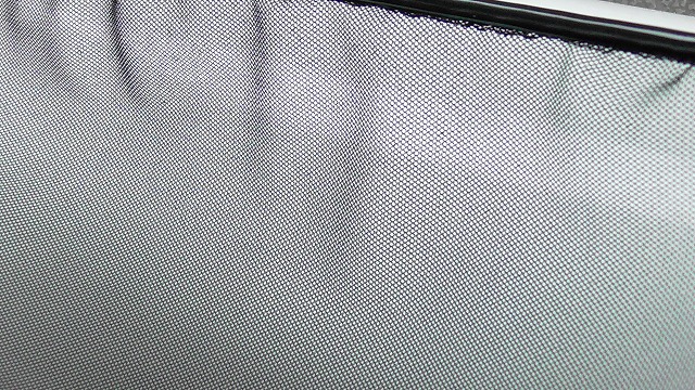タモ網を拡大した様子