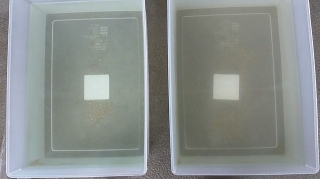 ゾウリムシとPSBを注入した後の2つの容器