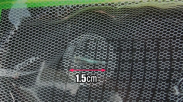 大きさ1.5㎝ほどの針子