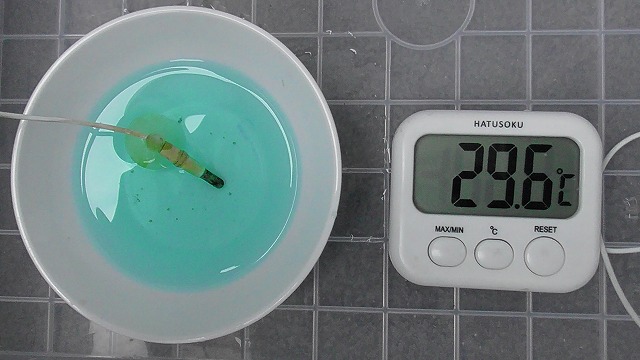 小皿の水温を測る様子