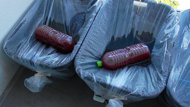 メダカ容器にかぶせたポリ袋にPSBをのせたイメージ